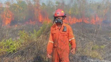 Ancaman Karhutla Kemarau 2026: Pakar UGM Soroti Bahaya Bakar Lahan