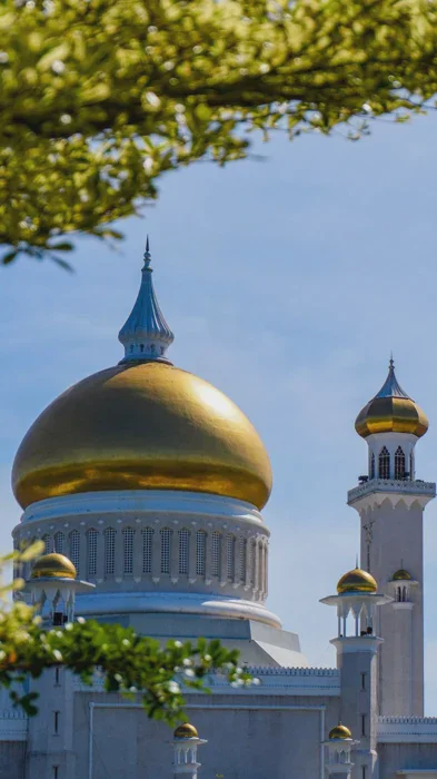 Resmi: Sultan Brunei Lakukan Reshuffle Kabinet, Pangeran Aktif di Instagram Jadi Menlu